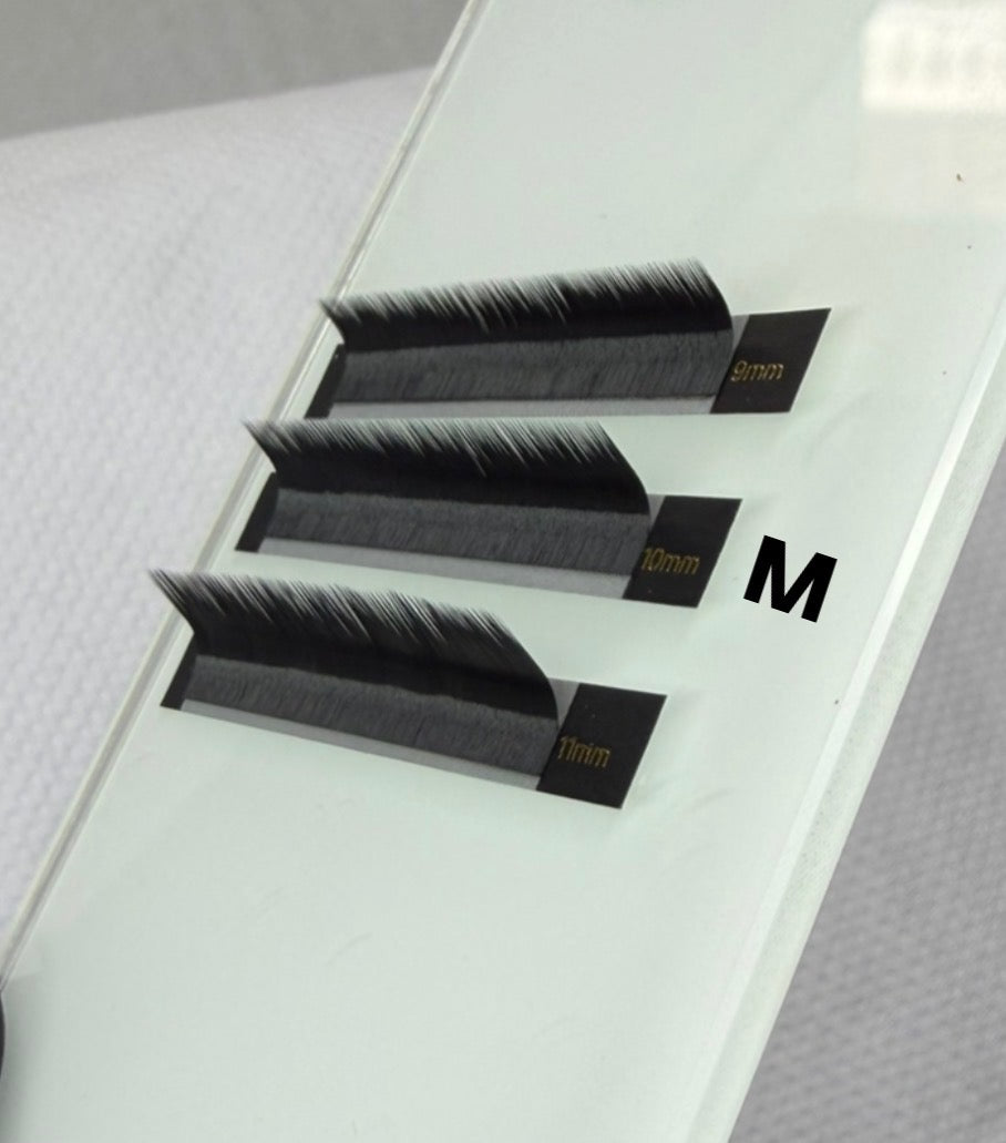 ODYPHORIA M Curl Single Trays